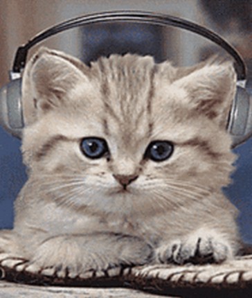 1635490207434688.jpg t01a4c7f661e498c355_(2).jpg