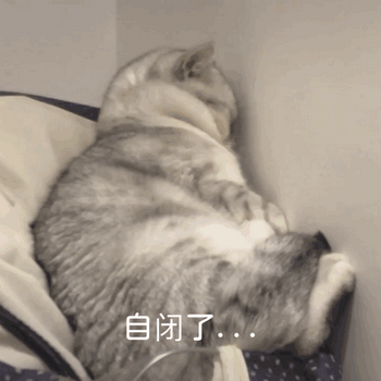 1642059207675344.jpg f3e215c3545d65a08e7bc939d423c5d1_0_(7).jpg