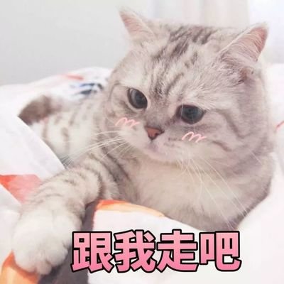 1642063618532594.jpg 43fb9c55f3c03dd06769f043759f7184_t01128b2626153969df.jpg