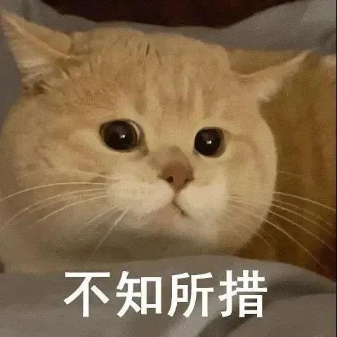 1652077786292279.jpg 下載.jpg